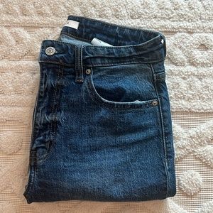 Eunina Tobi High Rise Mom Jean - Size 5